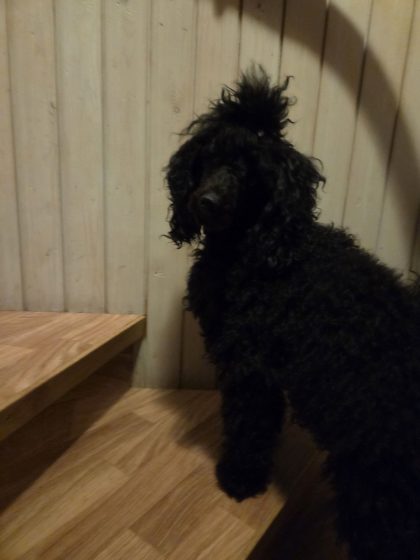 20260325 062040449261350380212597