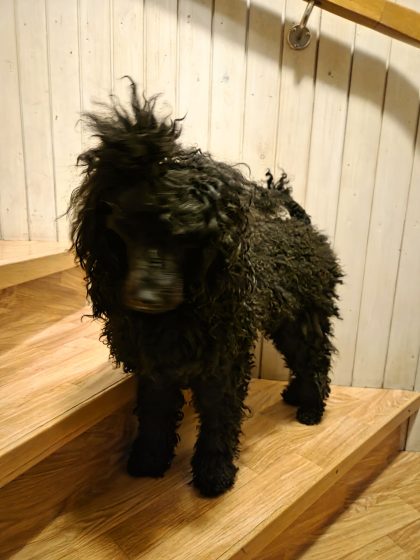 20260325 0620474225095886005454534