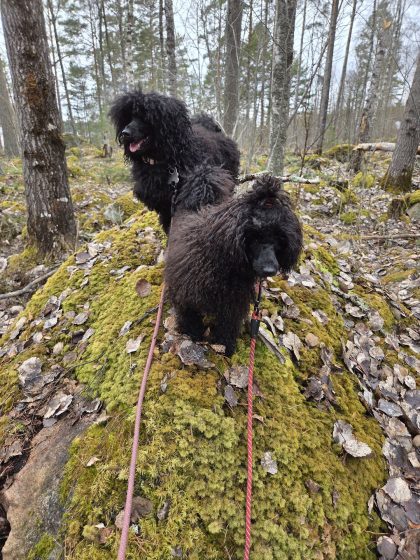 20260328 1501248190862530362090566