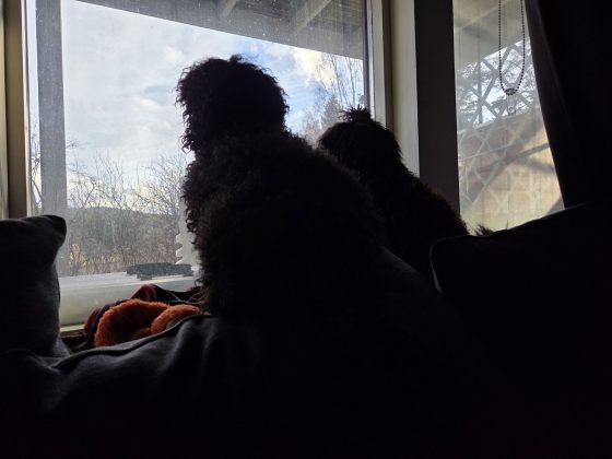 20260328 1629464879561605315468336