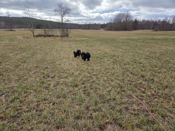 20260329 1339051379613839148358703