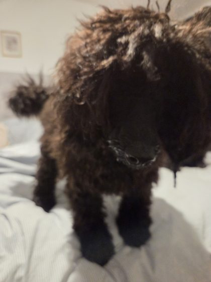 20260331 2048125378512009217392186