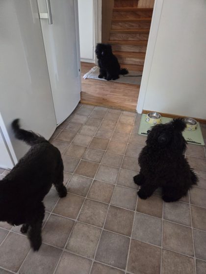 20260411 125846540709384663804103