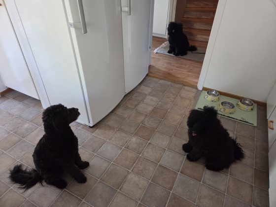 20260411 1258521986577871912580414