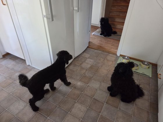 20260411 1258549199894935661506184