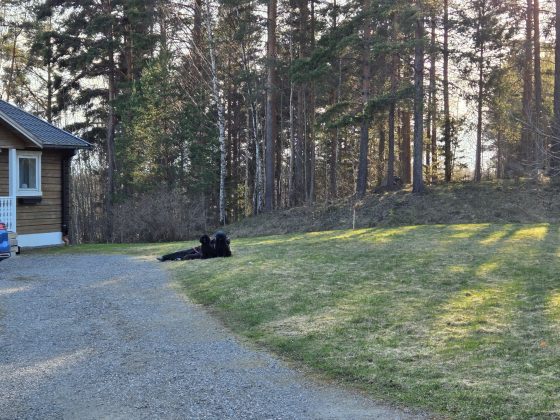 20260415 1802457721846685561849255