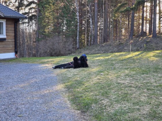 20260415 1803046558030393395579730