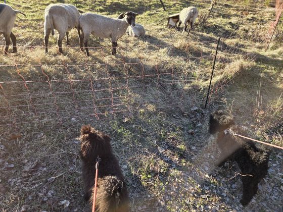 20260422 1853141888709279623369864