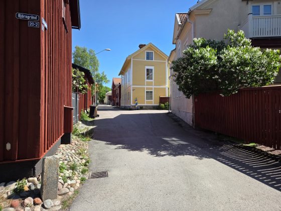 Promenad i våran stad i våren, mobilfrihundtid & hundmöten. 3 20260529 113415747812833866263322
