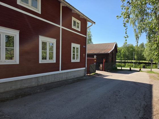 Promenad i våran stad i våren, mobilfrihundtid & hundmöten. 2 20260529 1134202292388103621401730