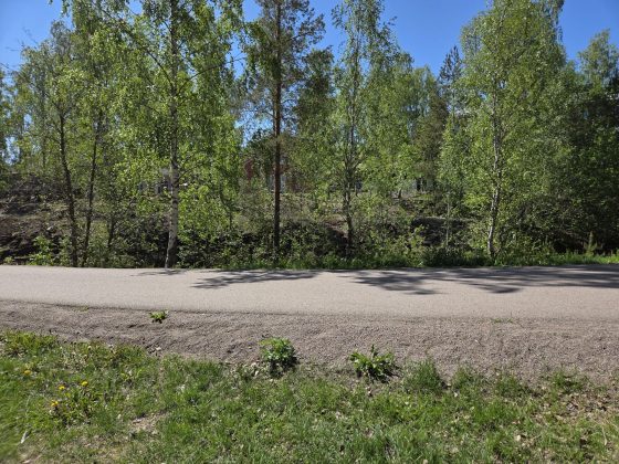 Promenad i våran stad i våren, mobilfrihundtid & hundmöten. 7 20260529 114725887299746504608241