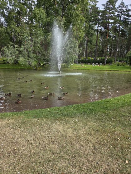 Promenader och solsken, en lördag i augusti. 10 20260815 115740