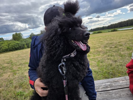 Kyrkbytjärn och söndagar. 7 20260816 152241